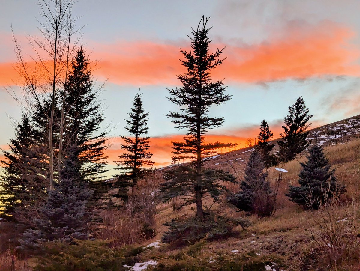 Andrew Field tweet media