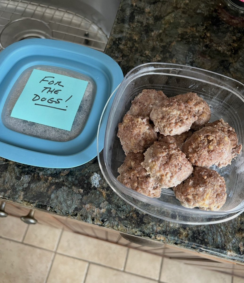 headdoc03's tweet image. Meatballs for @CanadianPenny   Dear Angel Penny your friend Angel Roxy always loved meat ball’s.  
Mom would have to remind dad they were for Mickie and me! 🤭😂 🤣. #meatballsforPenny