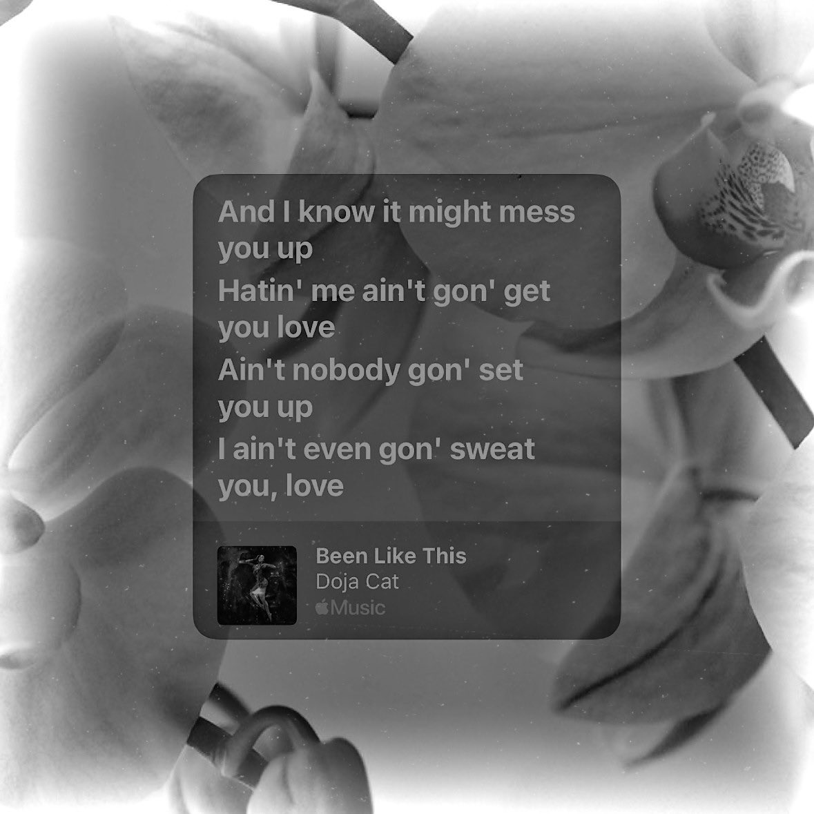 angelica s. crúz, tweet media