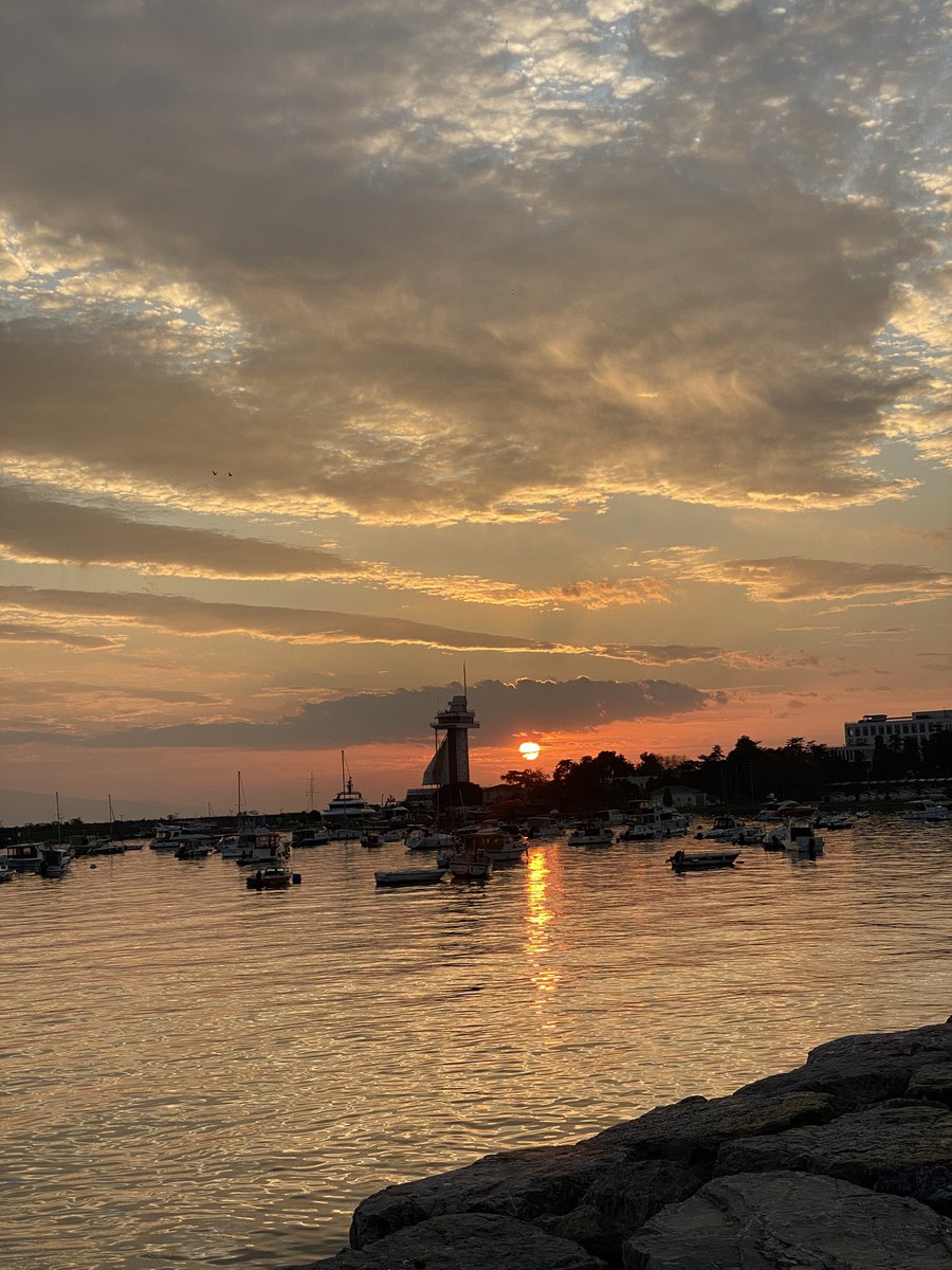 Halime (@halimeekng) on Twitter photo 