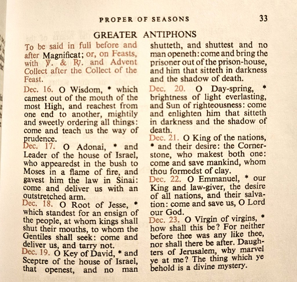 Nic ⚓🍁 tweet media