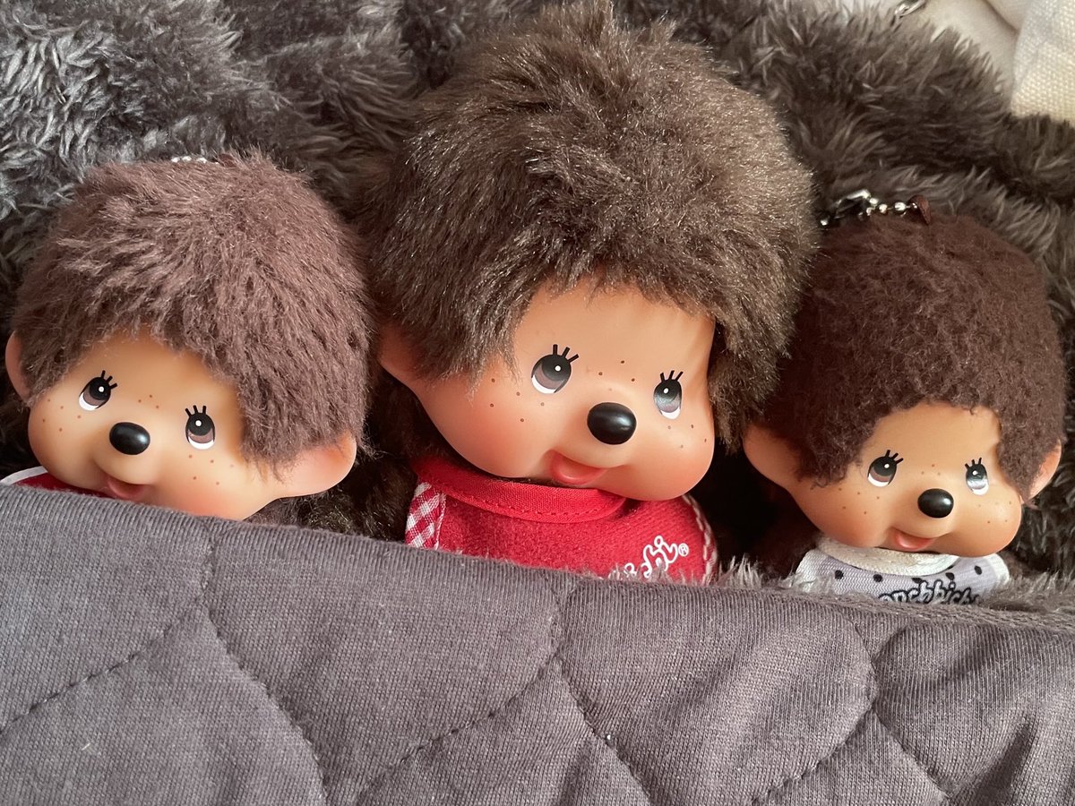 モンちゃん そんなこんなで〜🎶本誌の モンちゃん🤎🤎🤎😊💕💕💕 今日も仲良し