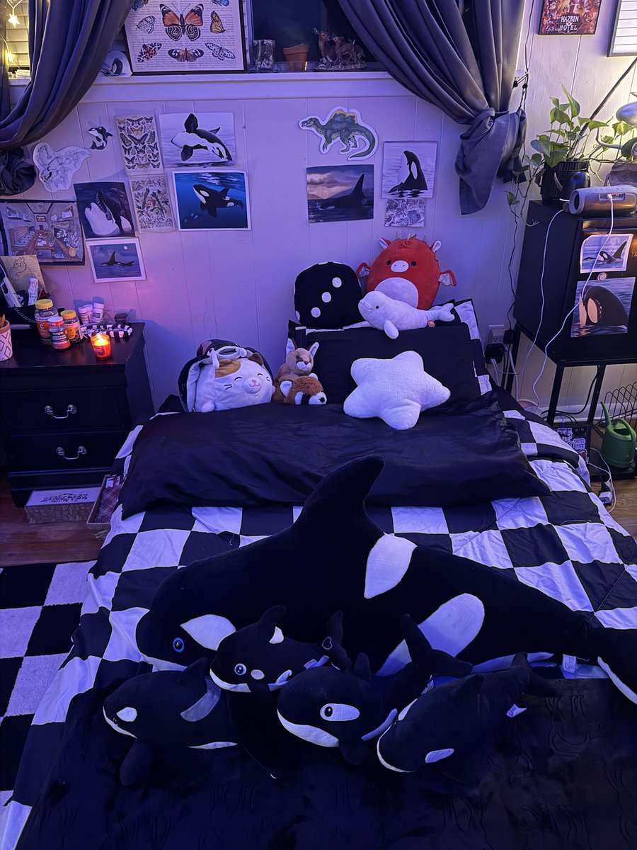 Ace 🔞✨ tweet media