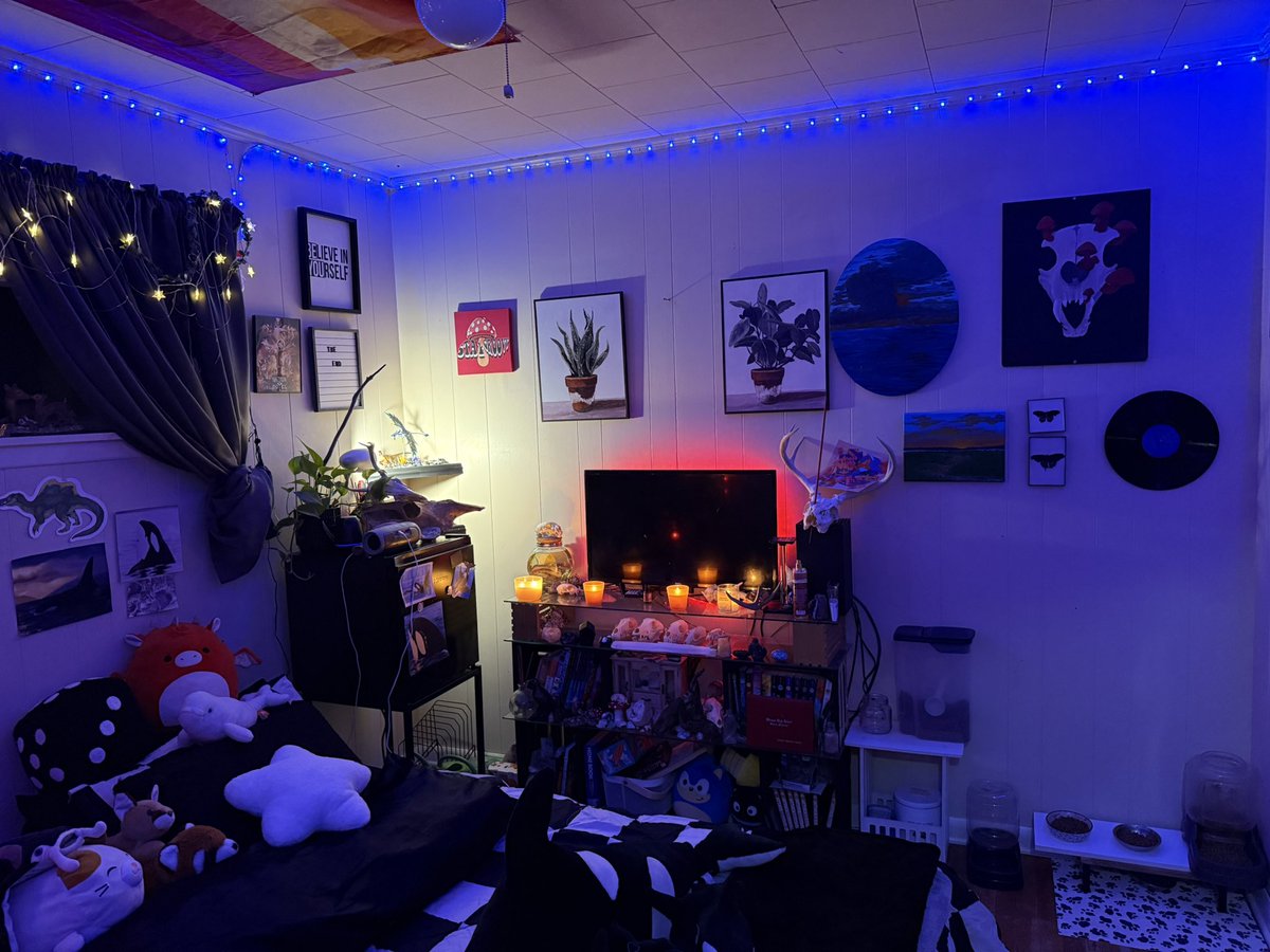 Ace 🔞✨ tweet media