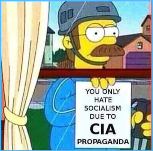 ✦✦✦ 𝙿𝚊𝚖𝚙𝚑𝚕𝚎𝚝𝚜 ✦✦✦ tweet media