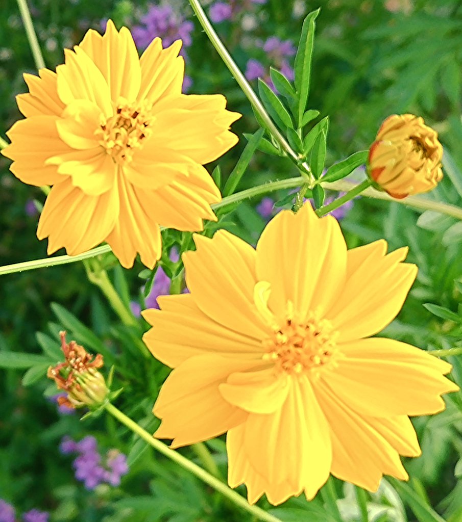 あむあむあむあむ☀️ (@rakk95173lov) / Posts / X