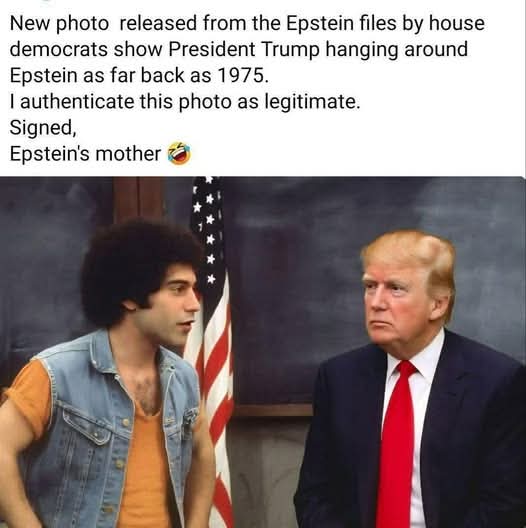 Anne in Texas tweet media