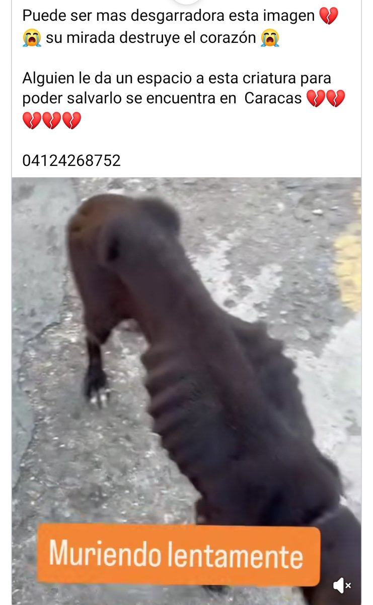 Difundimos. Por favor este pequeño nos necesita 🆘️🆘️🆘️