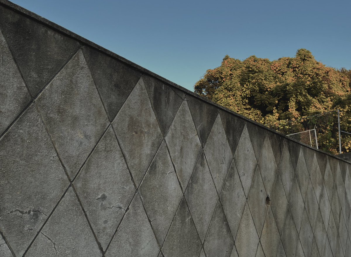 星屑ページ 星屑の王子様（4） (マンガワン女子部) | 茅原クレセ | 少女マンガ