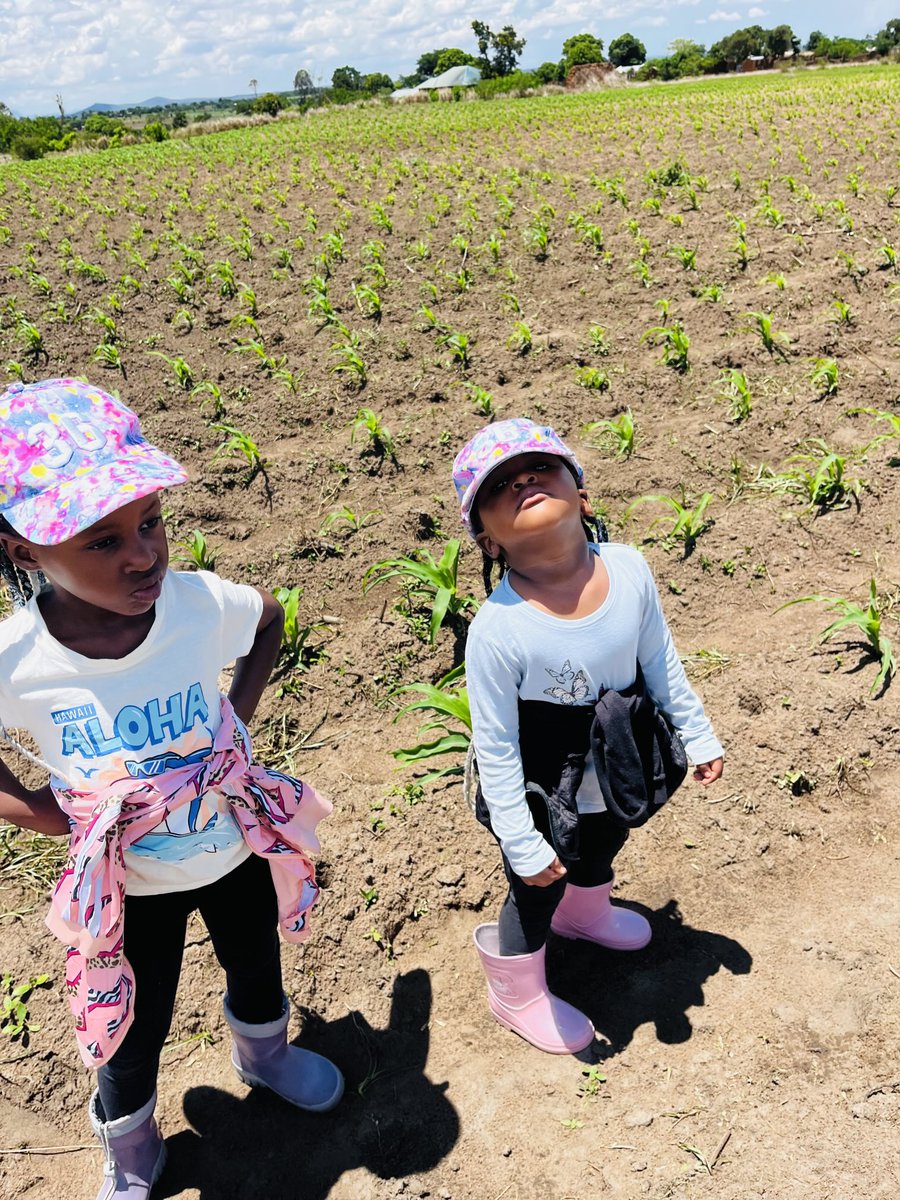 Ma set a clean ma set a smart