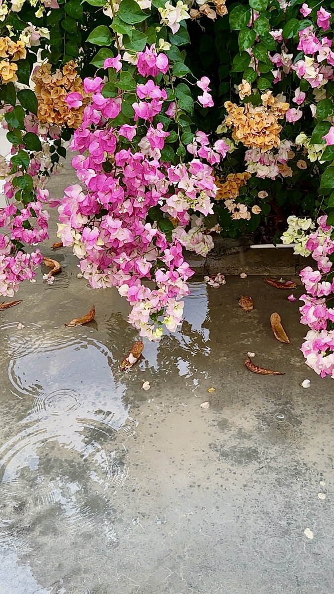 phatemah (@herowka_) on Twitter photo 