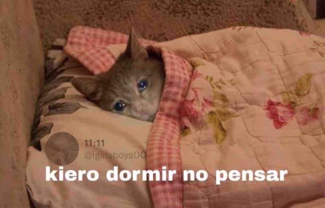 Yo: Hoy sí me dormiré temprano

Also yo a las 2am: