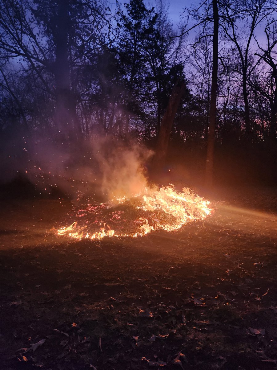 FallApollo's tweet image. The longer I live in the middle of nowhere the more i dread moving to a city