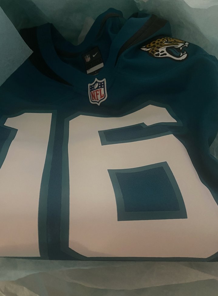 abrophy's tweet image. For my birthday, on my birthday. Go Jags! 🏈