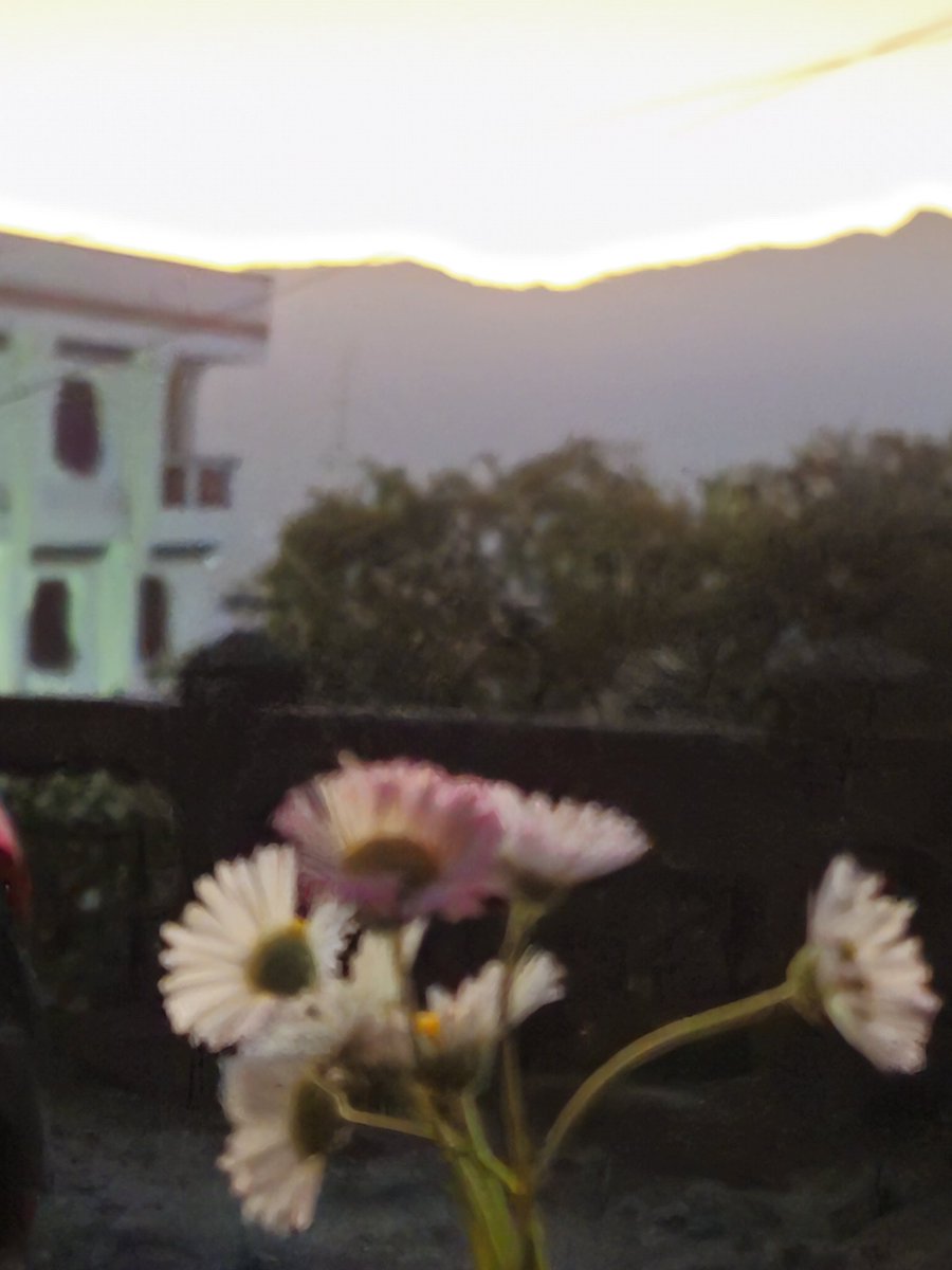 Good morning from Sikkim 💓
#ଭାବନାର_ଭରା_ନଈ