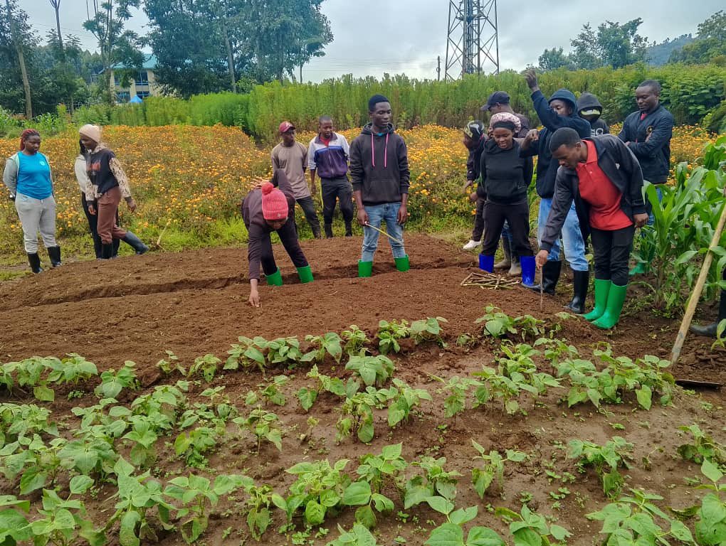 AgriPeakClub's tweet image. This 13rd December,  2025, #RCSSA conducted an on-farm onion transplanting session on its Model Farms ,

 learning proper techniques and market-driven production strategies to turn research into profit. 

#WeForChange #Engage #Empower #AgriPeak
