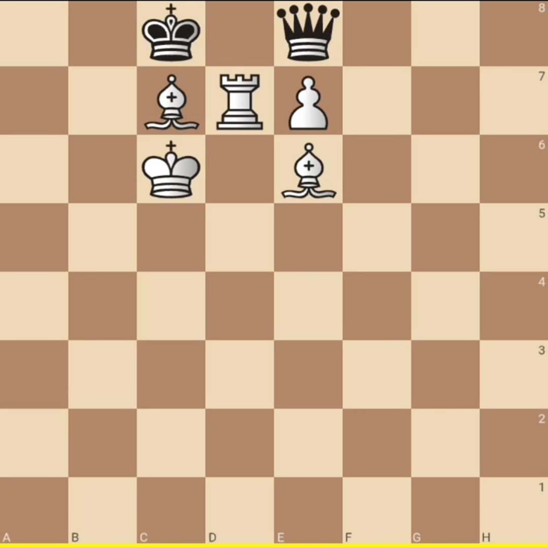 Lonely Gamer tweet media