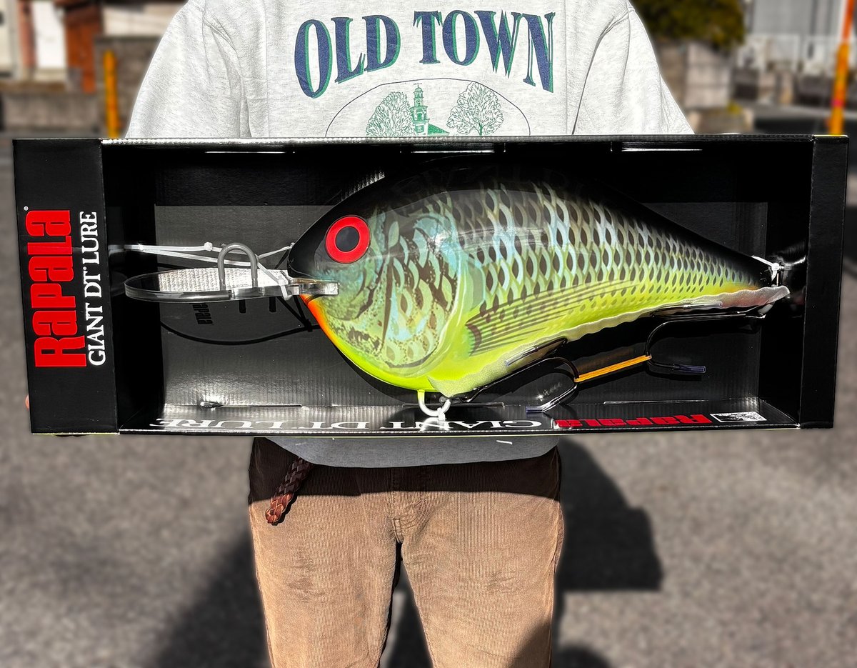 ジャイアントラパラ DT②