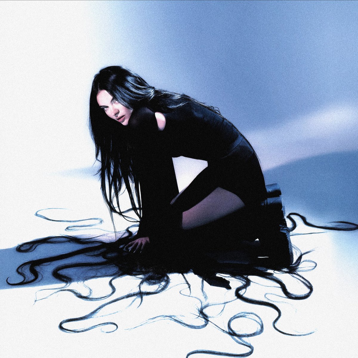 Sebastien LeTellier tweet media