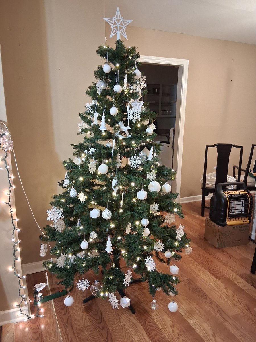 Russian_bear21's tweet photo. My tree https://t.co/1NB4w5DGJC