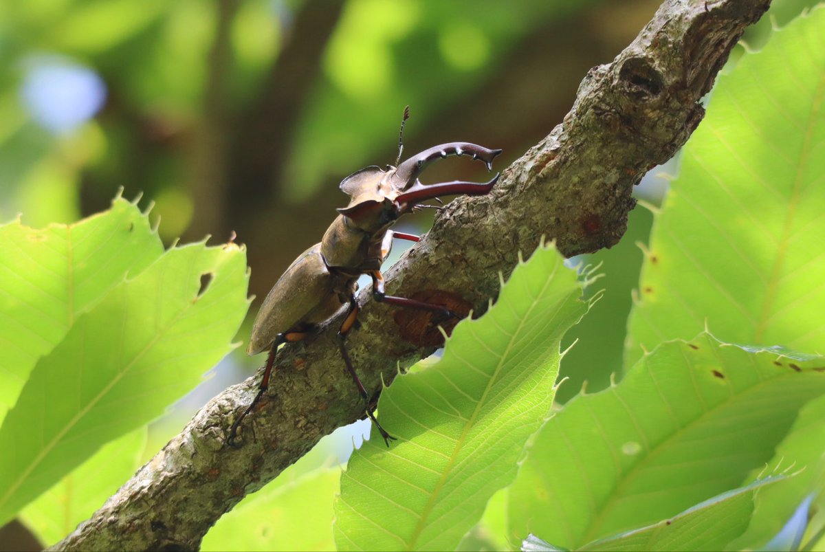 今年の思い出の振り返り…☆ 6/16はキキララちゃんと地元の山奥に行って