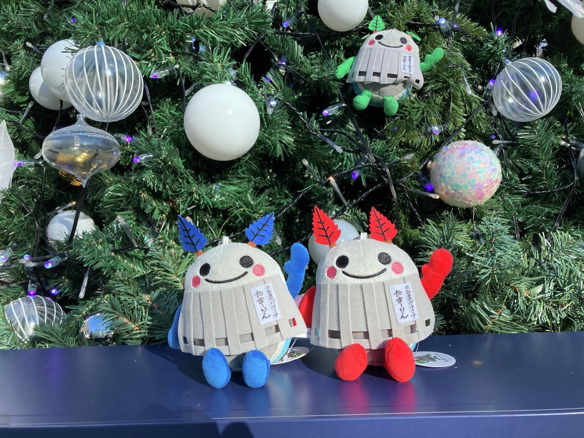 あずき (@azuki_24410) / Posts / X