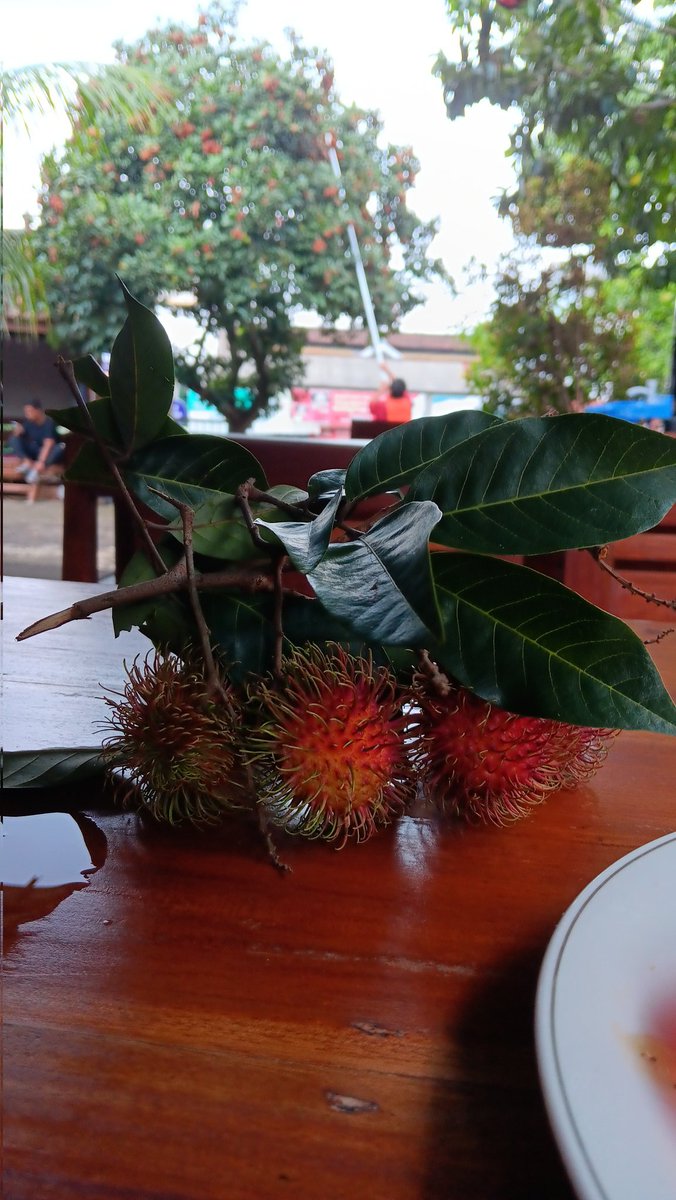 statscaa's tweet image. Wkwk lucu banget, lagi makan dikasih rambutan