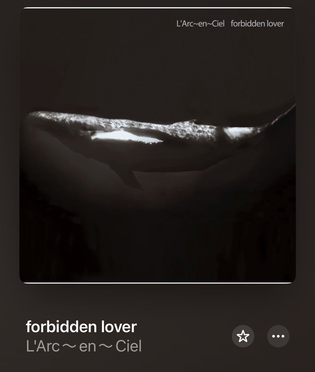 HEYHEYHEYのけんちゃんが飴吐いてるふりするとこを見てたら半日終わった 愛してます