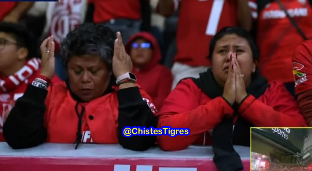 Chistes Tigres 🐯 tweet media