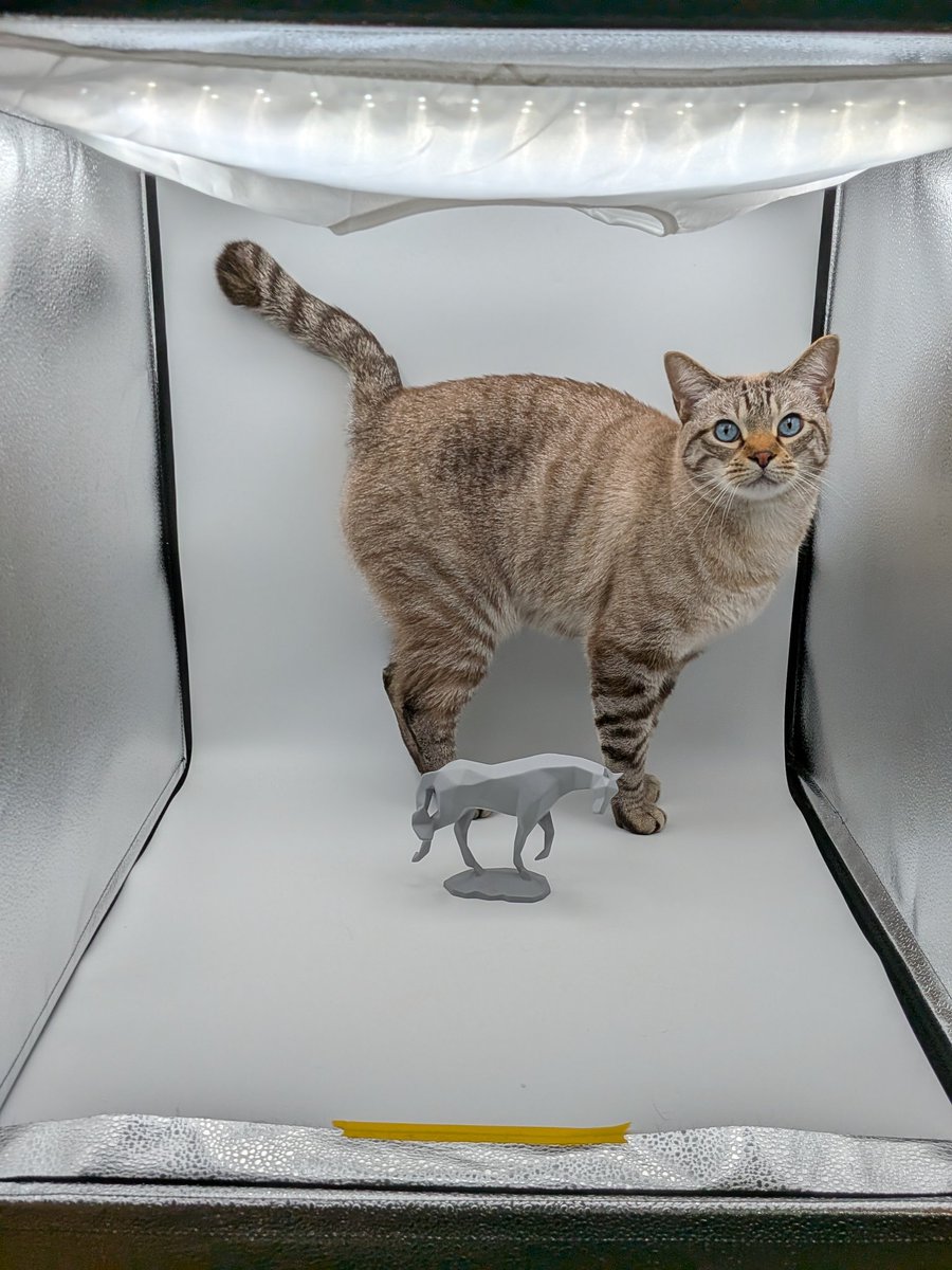 井河(いかわ)たぬゃん＠雑多垢キンツア・カツパラを観ました (@s1yu