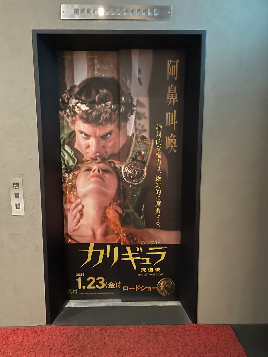 キャサリン☆ (@22kyasarin) / Posts / X