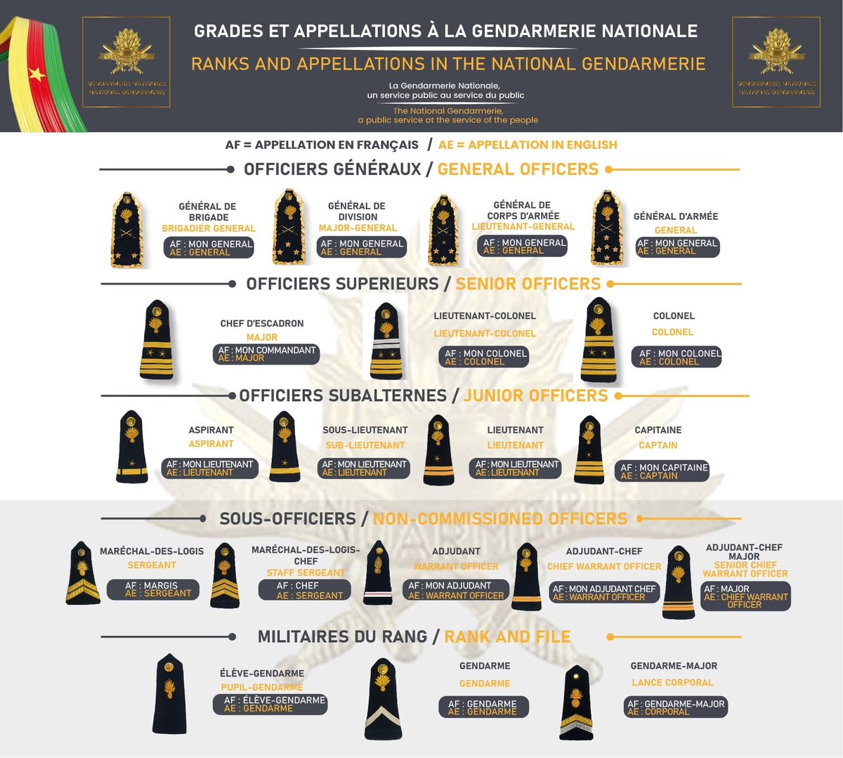 Les grades de la Gendarmerie Nationale.

#Cameroon🇨🇲