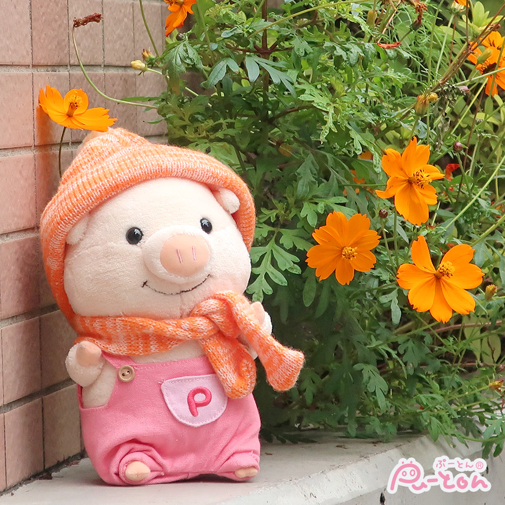 ぷーとん【公式】 (@puuton_ndi) / Posts / X