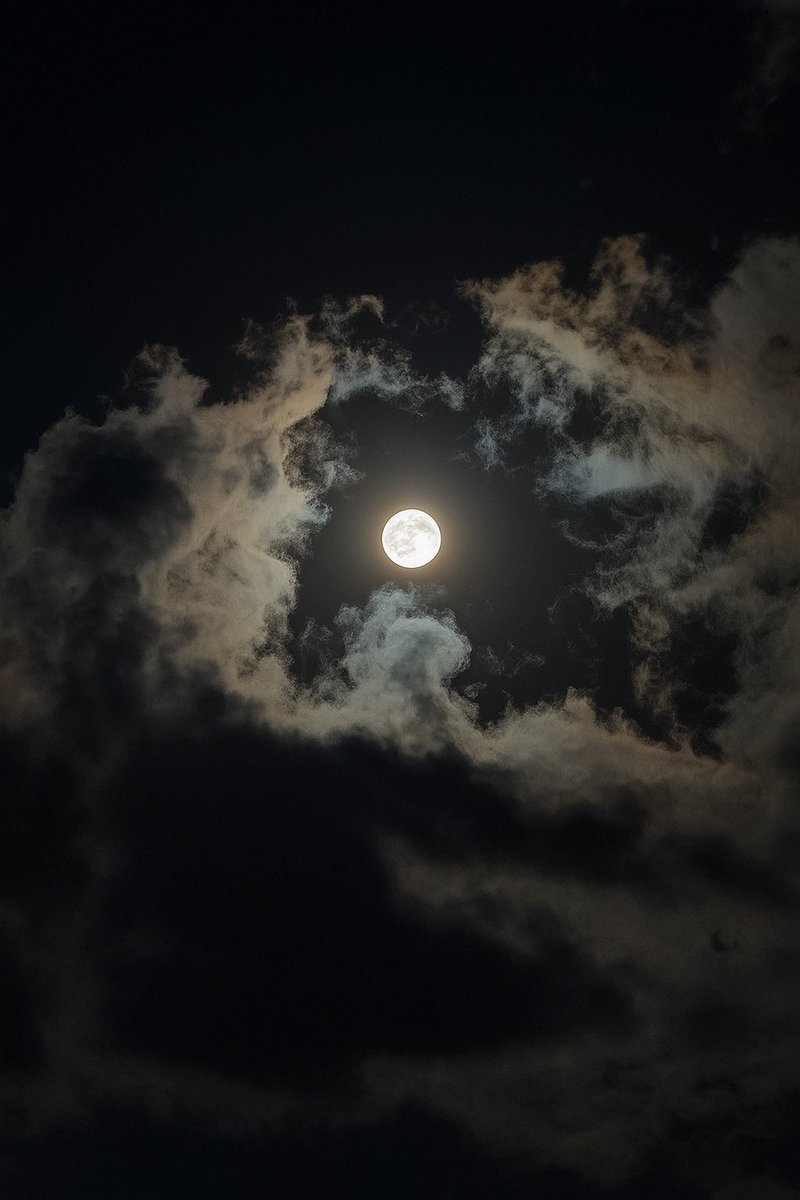 RodrigoVarggas's tweet photo. Enjoying the bright moonlight… ���🌕
#Photograph #Landscape #Moon #Night https://t.co/Irsojstsb9