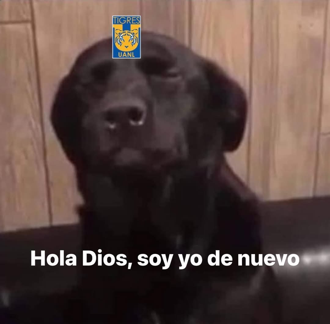 Vamos por la novena