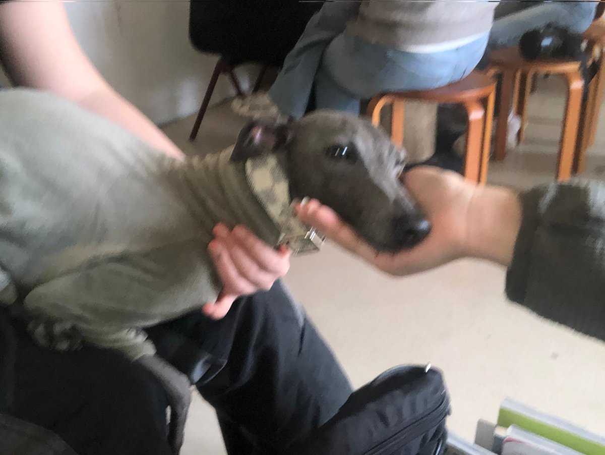 우리파이 tweet media