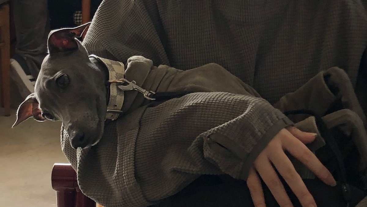 우리파이 tweet media