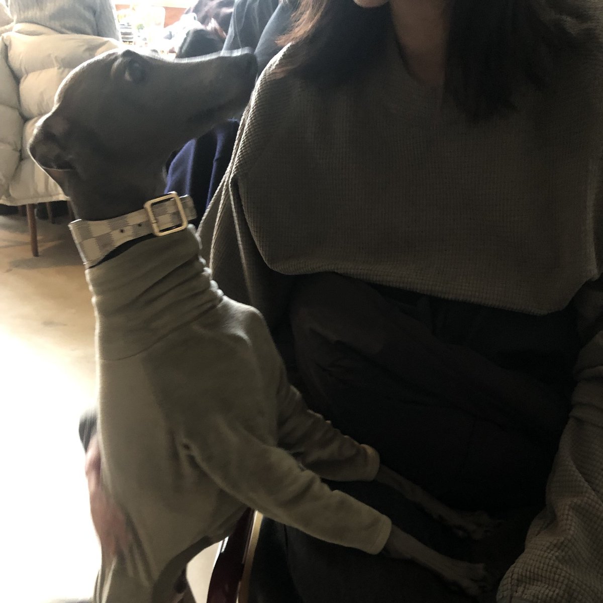 우리파이 tweet media