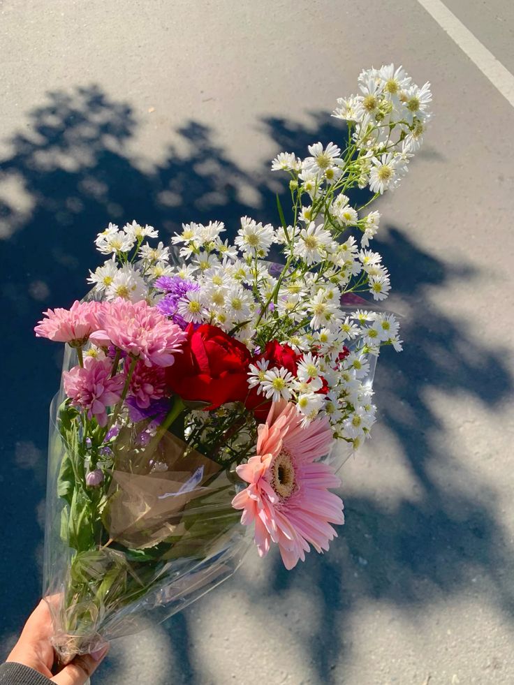 𝐑𝐚𝐡𝐚𝐝𝐢, s(H)aka. tweet media