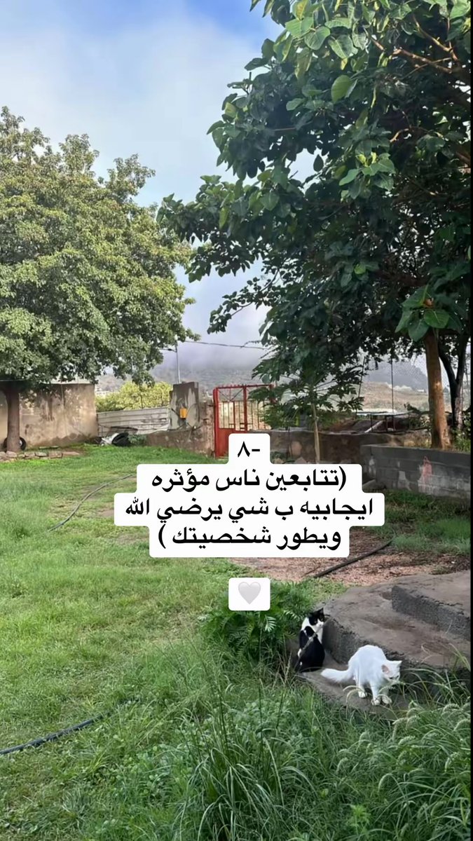 optu21's tweet photo. راح تتغير حياتك إذا :🦋🪴

بارت تو #like #explor #sstvi #KSA #ترند https://t.co/i8XoNXmtWC