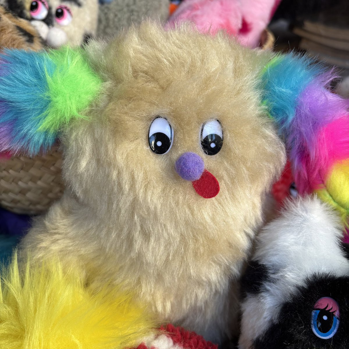 始まってるぜ٩(◜ᴗ◝ )۶ #世田谷ボロ市