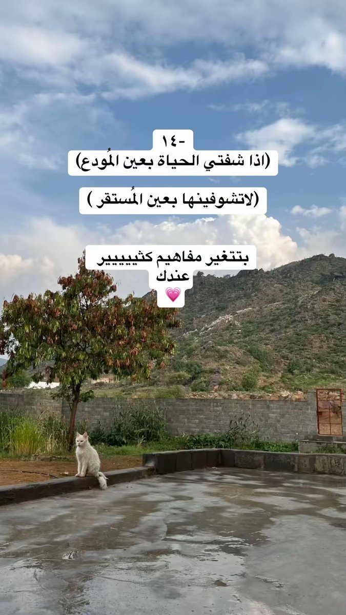 optu21's tweet photo. راح تتغير حياتك إذا :🦋🪴

بارت ثري #like #explor #sstvi #KSA #ترند https://t.co/1nm4E1i6NA