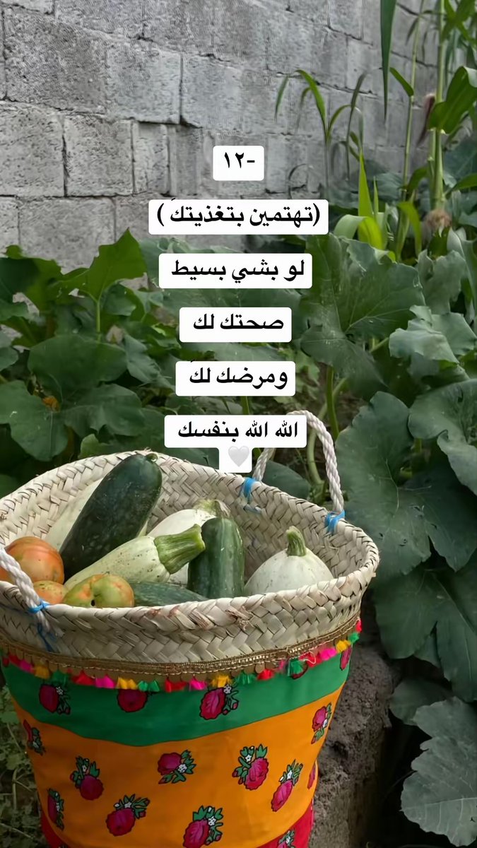 optu21's tweet photo. راح تتغير حياتك إذا :🦋🪴

بارت ثري #like #explor #sstvi #KSA #ترند https://t.co/1nm4E1i6NA