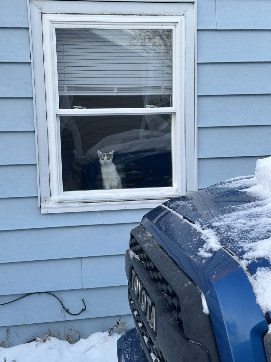 Kiwi & Goose tweet media