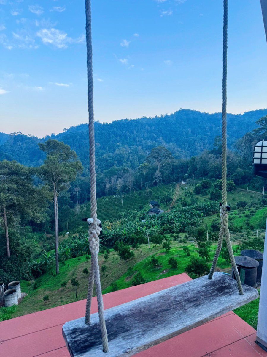 D&P (เล่น 2 คน) tweet media