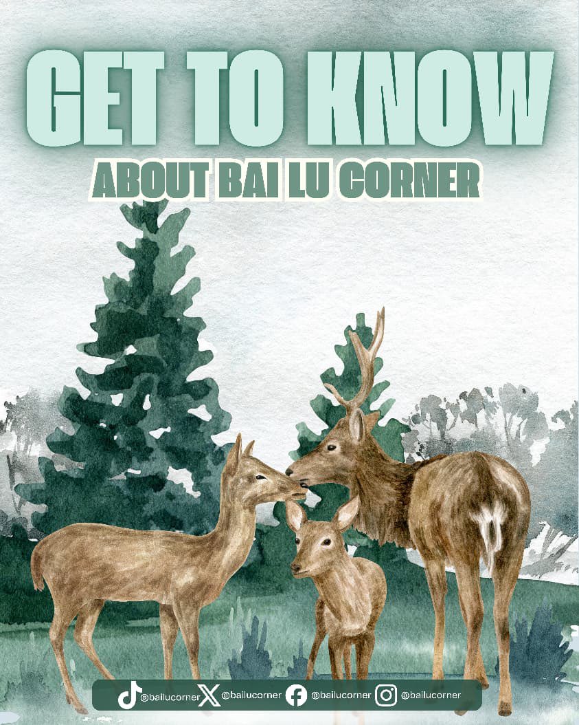 Bai Lu Corner tweet media