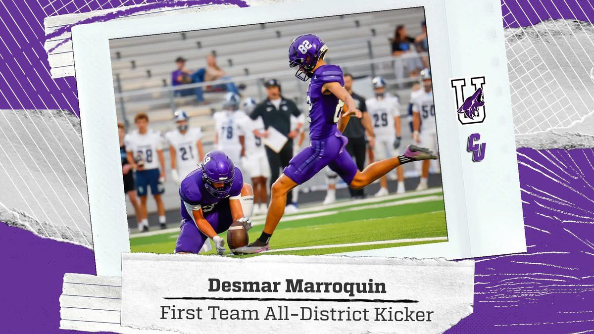 Desmarmarroquin tweet media