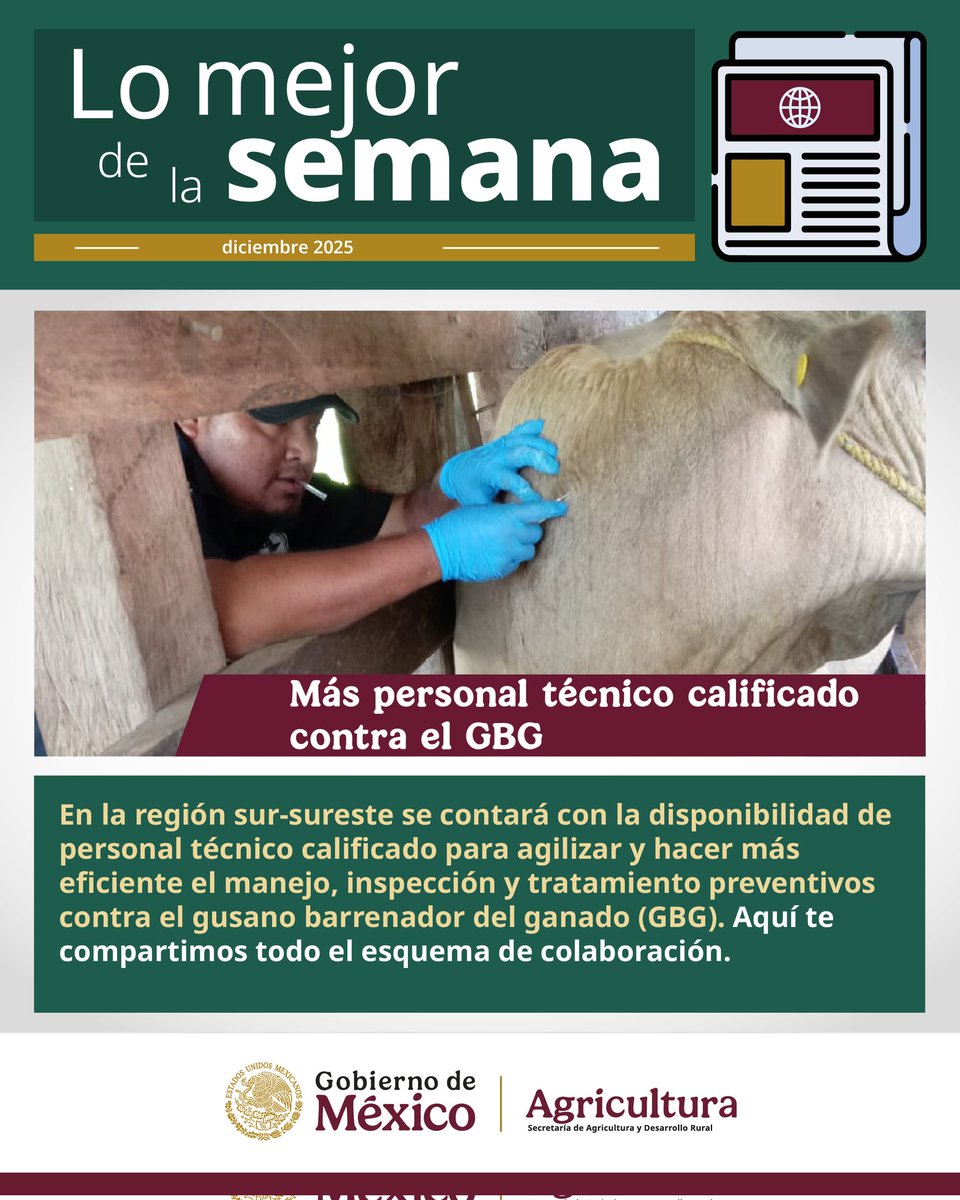 Agricultura_mex's tweet photo. ¡Llegó lo mejor de la semana! 
Conoce las noticias más destacadas de nuestro sector.  👇 https://t.co/gqfVUndw5F