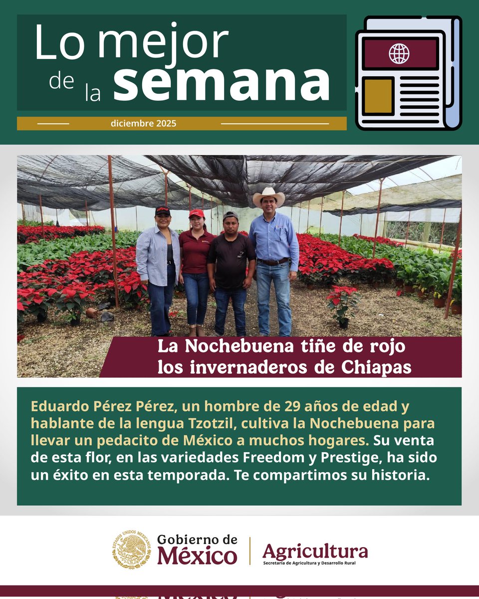 Agricultura_mex's tweet photo. ¡Llegó lo mejor de la semana! 
Conoce las noticias más destacadas de nuestro sector.  👇 https://t.co/gqfVUndw5F