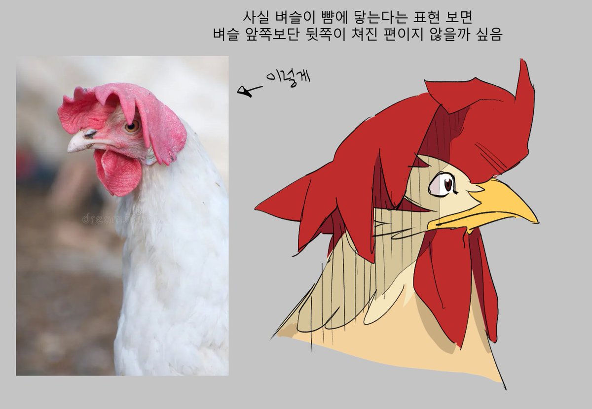 𝗞𝗢𝗥𝗜𝗖𝗛𝗔𝗡 (@korita_to) / Posts / X